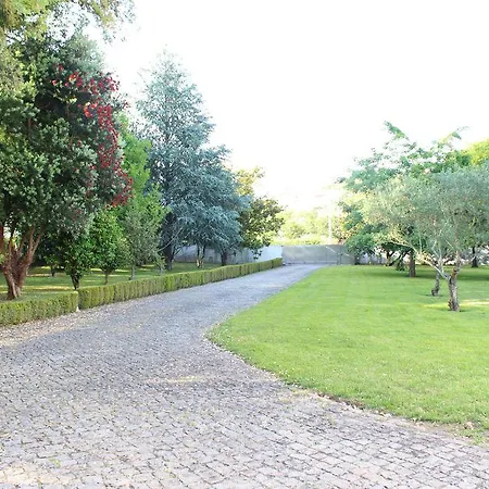 The Porto Concierge - Relaxing Orchard