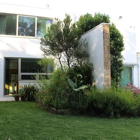 The Porto Concierge - Relaxing Orchard וילה