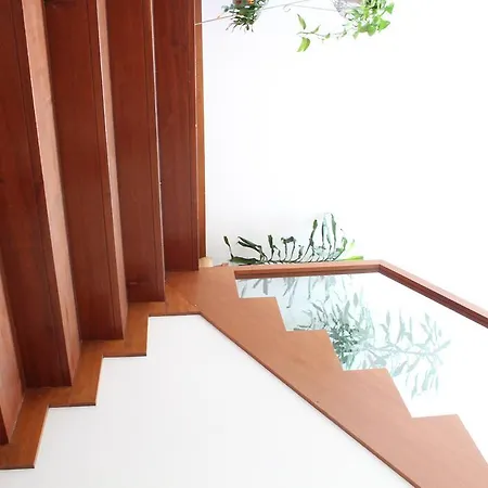 The Porto Concierge - Relaxing Orchard Santo Tirso
